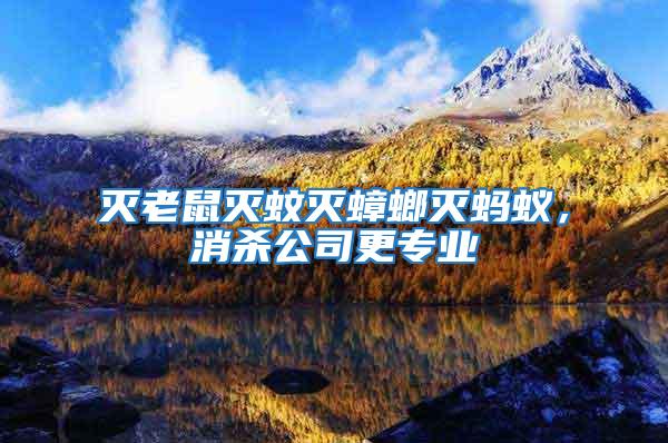 滅老鼠滅蚊滅蟑螂滅螞蟻，消殺公司更專業