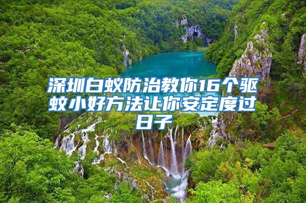 深圳白蟻防治教你16個(gè)驅(qū)蚊小好方法讓你安定度過日子