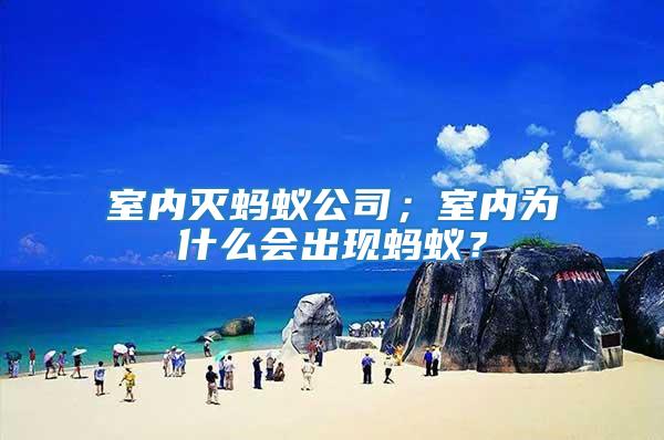 室內(nèi)滅螞蟻公司；室內(nèi)為什么會出現(xiàn)螞蟻？