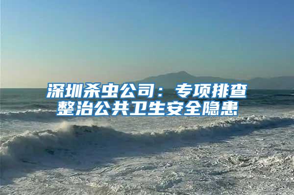 深圳殺蟲公司：專項(xiàng)排查整治公共衛(wèi)生安全隱患