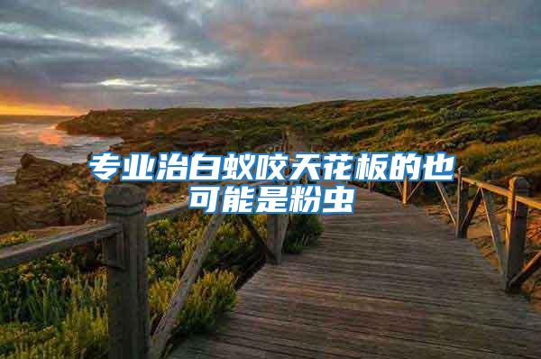 專業(yè)治白蟻咬天花板的也可能是粉蟲