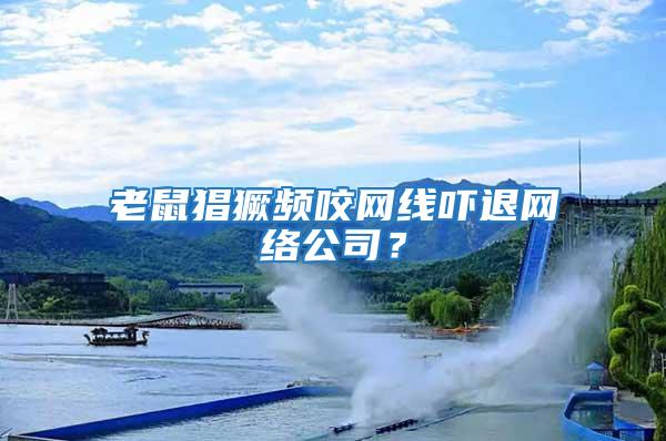 老鼠猖獗頻咬網(wǎng)線嚇退網(wǎng)絡(luò)公司？