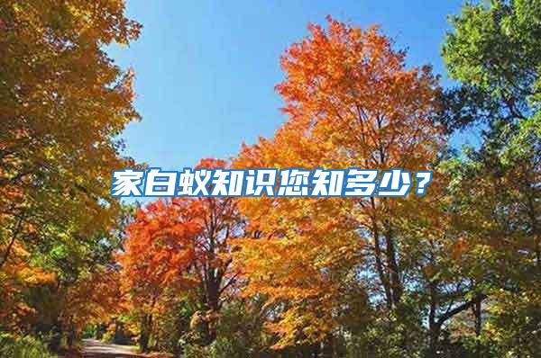 家白蟻知識您知多少？