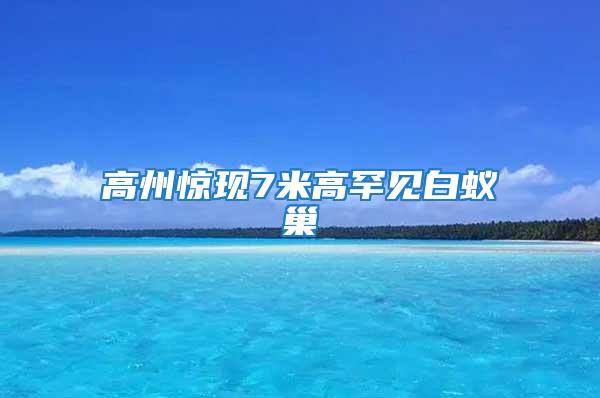 高州驚現(xiàn)7米高罕見(jiàn)白蟻巢