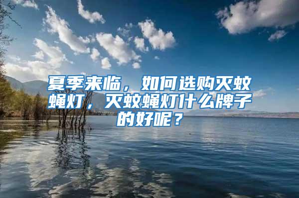 夏季來臨，如何選購滅蚊蠅燈，滅蚊蠅燈什么牌子的好呢？