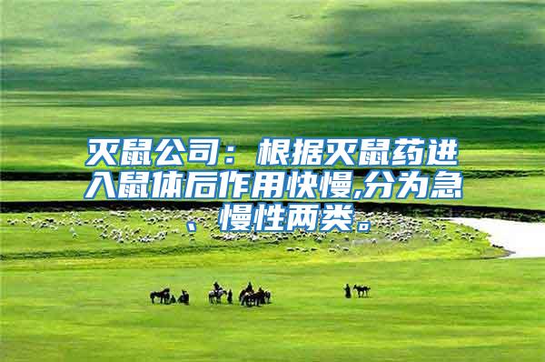 滅鼠公司：根據(jù)滅鼠藥進(jìn)入鼠體后作用快慢,分為急、慢性?xún)深?lèi)。