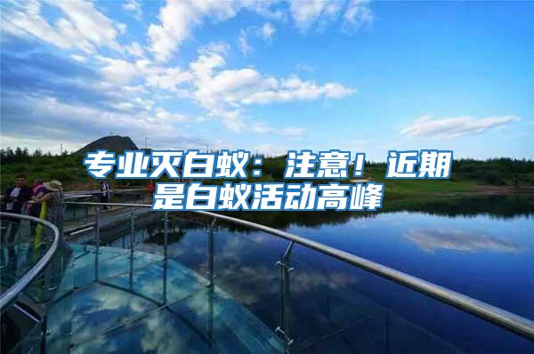 專業滅白蟻：注意！近期是白蟻活動高峰