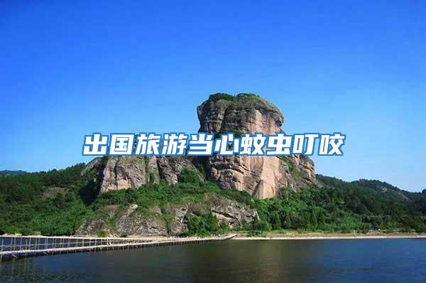 出國(guó)旅游當(dāng)心蚊蟲叮咬