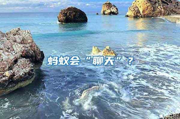 螞蟻會(huì)“聊天”？