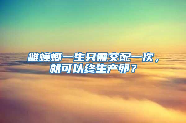 雌蟑螂一生只需交配一次，就可以終生產卵？