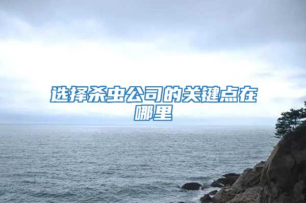 選擇殺蟲公司的關(guān)鍵點(diǎn)在哪里