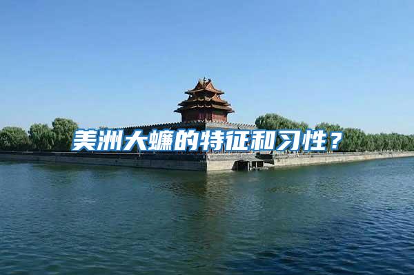 美洲大蠊的特征和習性？