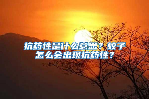 抗藥性是什么意思？蚊子怎么會出現抗藥性？