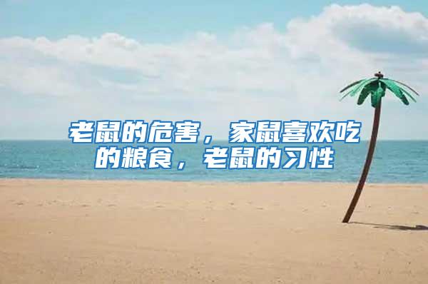 老鼠的危害，家鼠喜歡吃的糧食，老鼠的習性