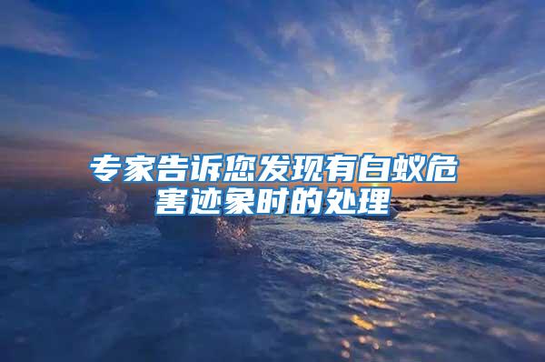 專(zhuān)家告訴您發(fā)現(xiàn)有白蟻危害跡象時(shí)的處理