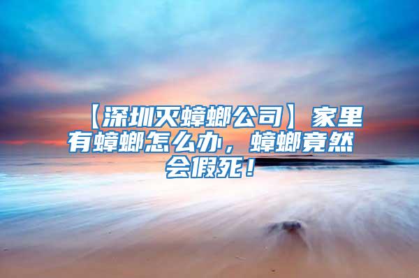 【深圳滅蟑螂公司】家里有蟑螂怎么辦，蟑螂竟然會(huì)假死！