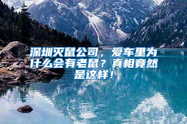 深圳滅鼠公司，愛車里為什么會有老鼠？真相竟然是這樣！