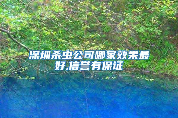 深圳殺蟲公司哪家效果最好,信譽(yù)有保證