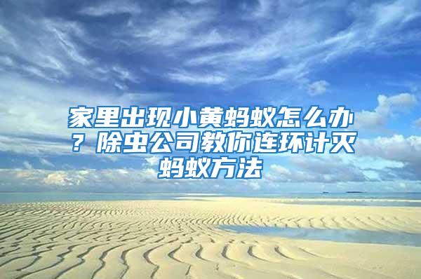 家里出現(xiàn)小黃螞蟻怎么辦？除蟲(chóng)公司教你連環(huán)計(jì)滅螞蟻方法