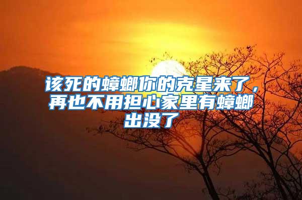 該死的蟑螂你的克星來了，再也不用擔(dān)心家里有蟑螂出沒了