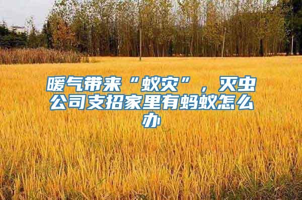 暖氣帶來“蟻災(zāi)”，滅蟲公司支招家里有螞蟻怎么辦