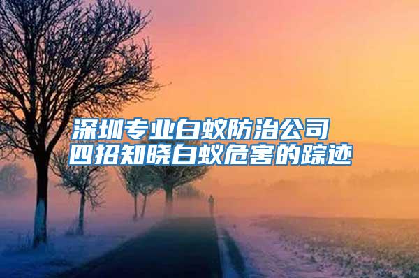 深圳專業白蟻防治公司 四招知曉白蟻危害的蹤跡