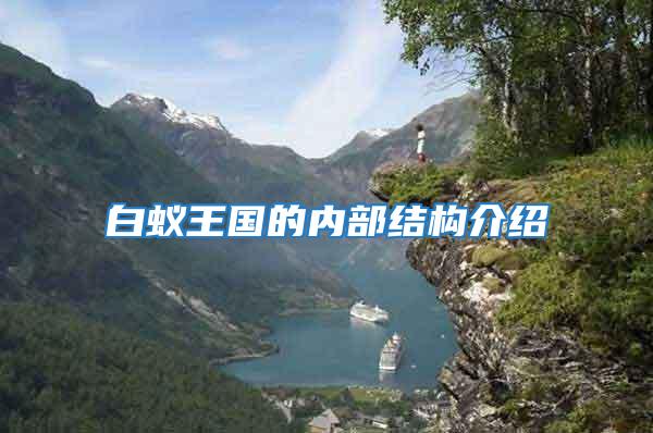 白蟻王國的內(nèi)部結(jié)構(gòu)介紹