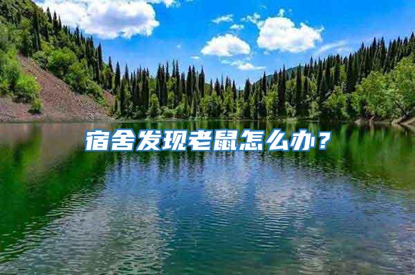 宿舍發現老鼠怎么辦？