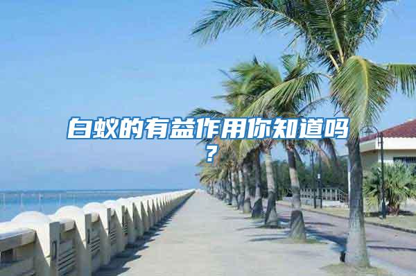 白蟻的有益作用你知道嗎？