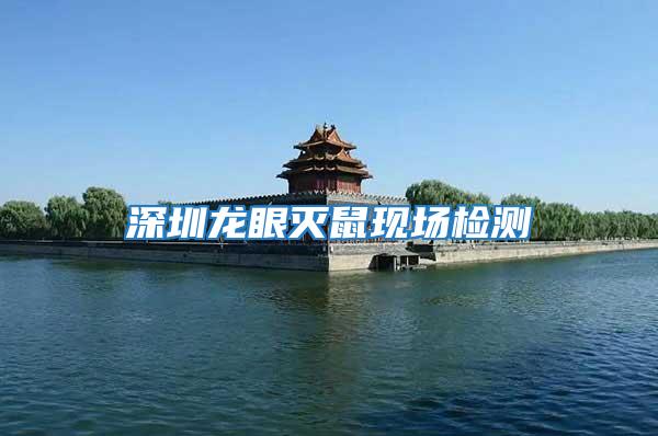 深圳龍眼滅鼠現(xiàn)場(chǎng)檢測(cè)