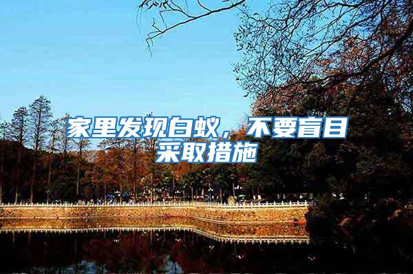家里發(fā)現白蟻，不要盲目采取措施