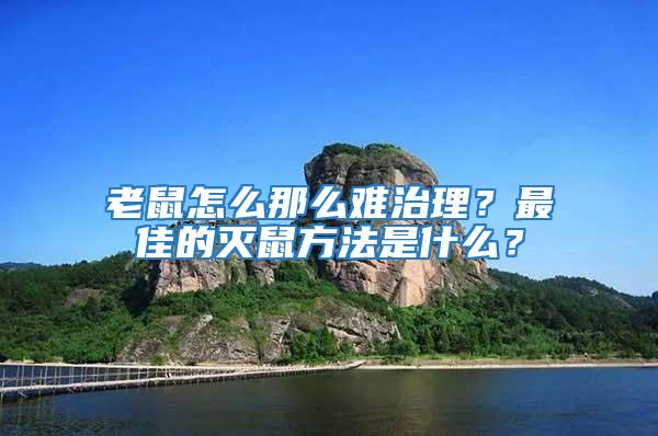老鼠怎么那么難治理？最佳的滅鼠方法是什么？