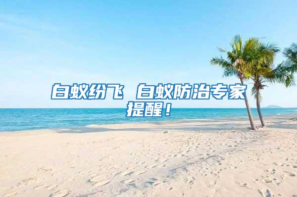 白蟻紛飛 白蟻防治專家提醒！