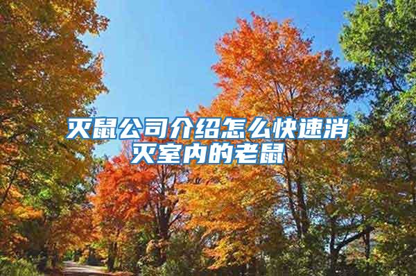滅鼠公司介紹怎么快速消滅室內的老鼠
