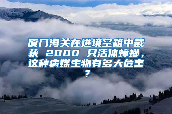 廈門海關在進境空箱中截獲 2000 只活體蟑螂，這種病媒生物有多大危害？