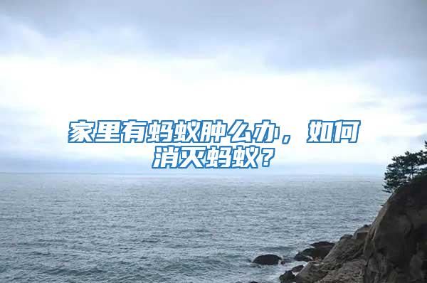 家里有螞蟻腫么辦，如何消滅螞蟻？