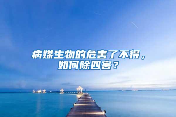 病媒生物的危害了不得，如何除四害？