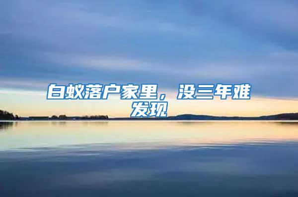 白蟻落戶家里，沒三年難發(fā)現