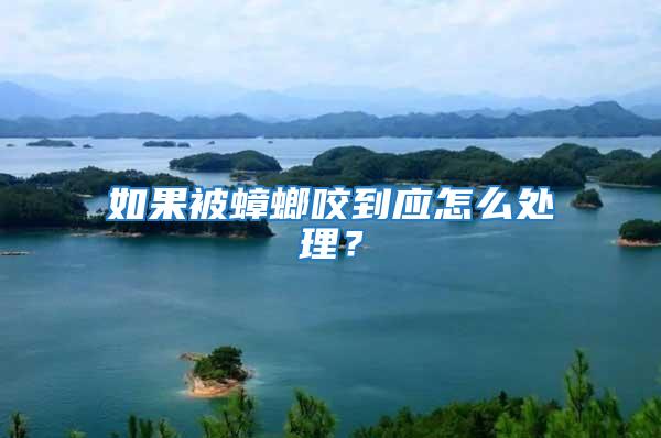 如果被蟑螂咬到應(yīng)怎么處理？