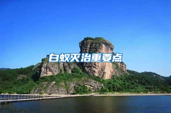 白蟻滅治重要點(diǎn)