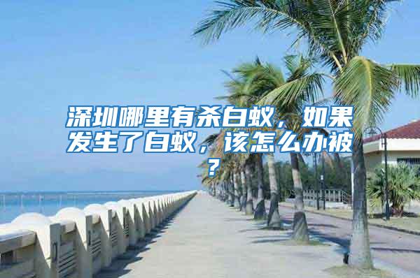 深圳哪里有殺白蟻，如果發(fā)生了白蟻，該怎么辦被？