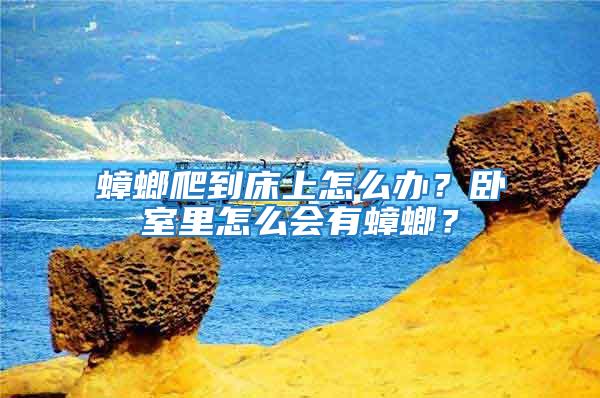蟑螂爬到床上怎么辦？臥室里怎么會(huì)有蟑螂？