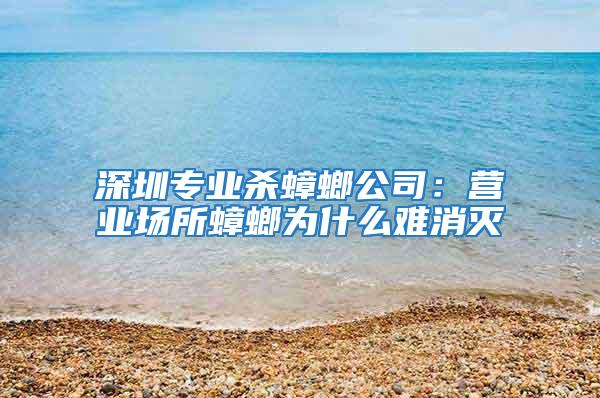 深圳專業(yè)殺蟑螂公司：營業(yè)場所蟑螂為什么難消滅