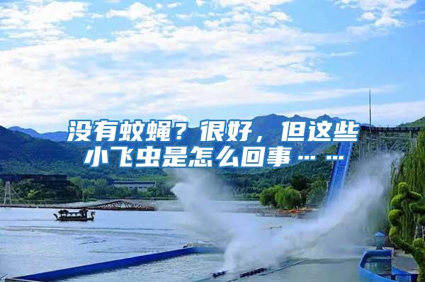 沒有蚊蠅？很好，但這些小飛蟲是怎么回事……