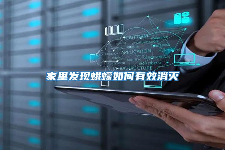 家里發現蛾蠓如何有效消滅