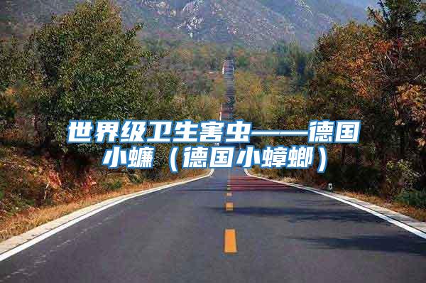世界級衛生害蟲——德國小蠊（德國小蟑螂）