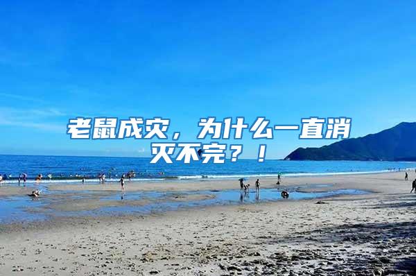 老鼠成災(zāi)，為什么一直消滅不完？！
