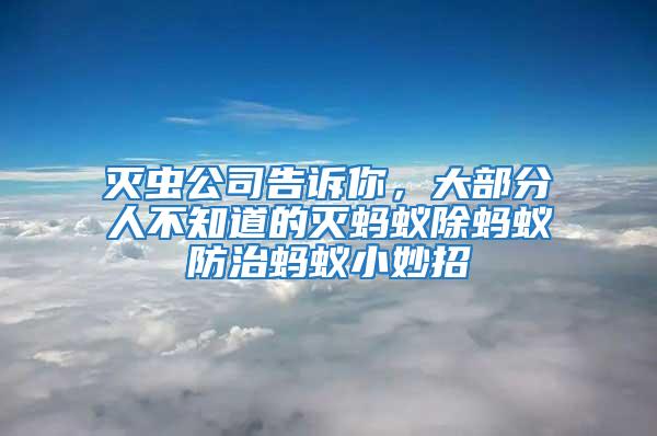 滅蟲公司告訴你，大部分人不知道的滅螞蟻除螞蟻防治螞蟻小妙招