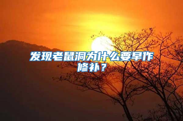 發(fā)現(xiàn)老鼠洞為什么要早作修補？