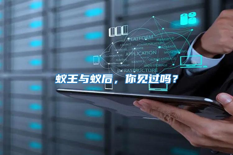 蟻王與蟻后，你見過嗎？